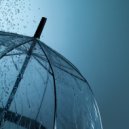 Raincity & Rain Rec. & Rain Recordings & 24H Rain Sounds - Rain Umbrella Lashing (3)