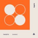 Taygeto - Shining (Extended Mix)