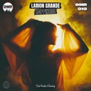 Larion Grande - Happiness (Original Mix)