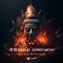 Cronick & Trillian - Cybertribe (Original Mix)