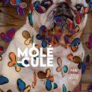 Fab From Toulouse - Molécule ()