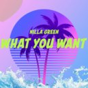 Nilla Green & Nilla Green - What You Want