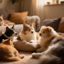 Cozy Pet Music & Music Moments & Natural Element - Gentle Pets Harmony ()