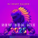 DJ Hoary Salmon - The dancing landscape of the digital man ()