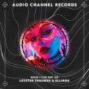 Letzter Traumer & Ellinda - what I can not do ()