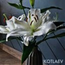 KOTLAEV DANIL - Mourning For Hope ()
