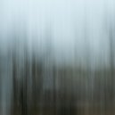 Flying Tulpa - No Expectations ()