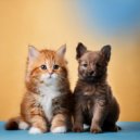 Melodía de sueño para animales & Soledad tranquila & Grabación de lluvia - El Ritmo Suave De Tu Pulso ()