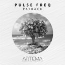 Pulse FreQ - Payback (Radio Edit)