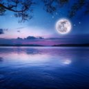 Bedtime Songs Academy & Calm Harmonies & Bonfire Sleep Sound - Floating Along The Soft Divide