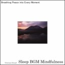 Sleep BGM Mindfulness - Soothing Agitation with Sound Healing for Mental Health and Rest (Original Mix)