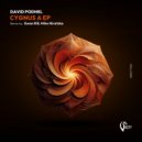 David Podhel - Cygnus A
