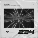 Wailey - Techno Is The Answer (Original Mix)