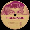 T Sounds - Into The Distance (Original Mix)