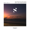 SAINT., EFA, Æj - She Does What She Wants (feat. Luke James Sahffer) (Original Mix)