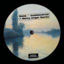RAAS - Coalescence (Remy Unger Remix)