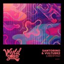 Santorino, Vulturez - Libertad (Original Mix)
