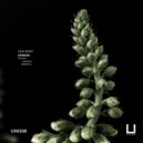 Dani Sbert - Unison (Original Mix)