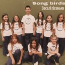 SONG BIRDS - ВЕСЕЛІ ПІСЕНЬКИ (Original Mix)