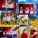 SONG BIRDS - захищайте Україну (Original Mix)