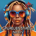 Aurelien Stireg - No Cry (Original Mix)