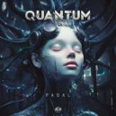 Quantum - Pagal (Original Mix)