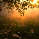 Unusual Cosmic Process & The Still Vale - Dawn at the Forest Edge