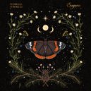 Madraas - Northern Lights (Extended Mix)