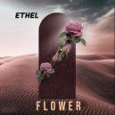 Ethel - Options