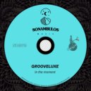 GrooveLuxe - In the moment (Original Mix)