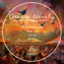 Dream Wisely - Home (Radio Mix)