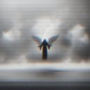 YbilVSS - GHard ()