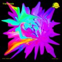 Pavel Bibikov - Trancelandia (Original Mix)