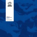 Flying Moth & Renato Patriarca - Take You Higher (Original Mix)