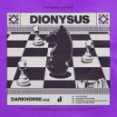 DARKHORSE (AU) - Across The Nation (Original Mix)