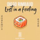 Diego Rimbaud - Lost in a Feeling