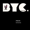 PNGVN - Summervibe (Original Mix)