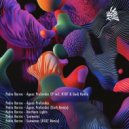 Pedro Barros - Sunwaves (R107 Remix)