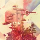 Bocuma - Reflection of Field
