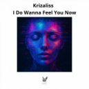 Krizaliss - I Do Wanna Fell You Now (Open Gamer Remix)
