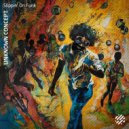Unknown Concept - Slippin\' on Funk (Original Mix)