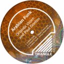 Orlando Voorn & Paul Donton - Arabian Funk (Original Mix)