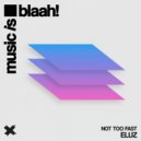 ELUZ - Not Too Fast (Extended Mix)