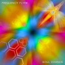 Frequency Flyer - Soul Chance (Old School Banger)