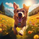 Dog Beats & Binary Beats & Underwater Sounds Channel - The Gentle Nudge For Attention ()