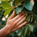 Calming Meditative Symphony & Lovely Night Sleep & Music For Deep Sleep Relaxation Meditation - Quiet Paths Through The Garden Of Thought ()