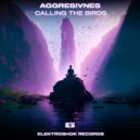 Aggresivnes - Calling The Birds (Original Mix)