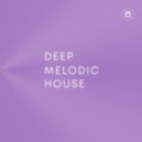 Melodic Techno - Formant