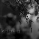 Visitant - Starless ()
