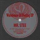 Mr. Stee - Warehouse Of Feeling (Original Mix)